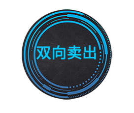 ˫